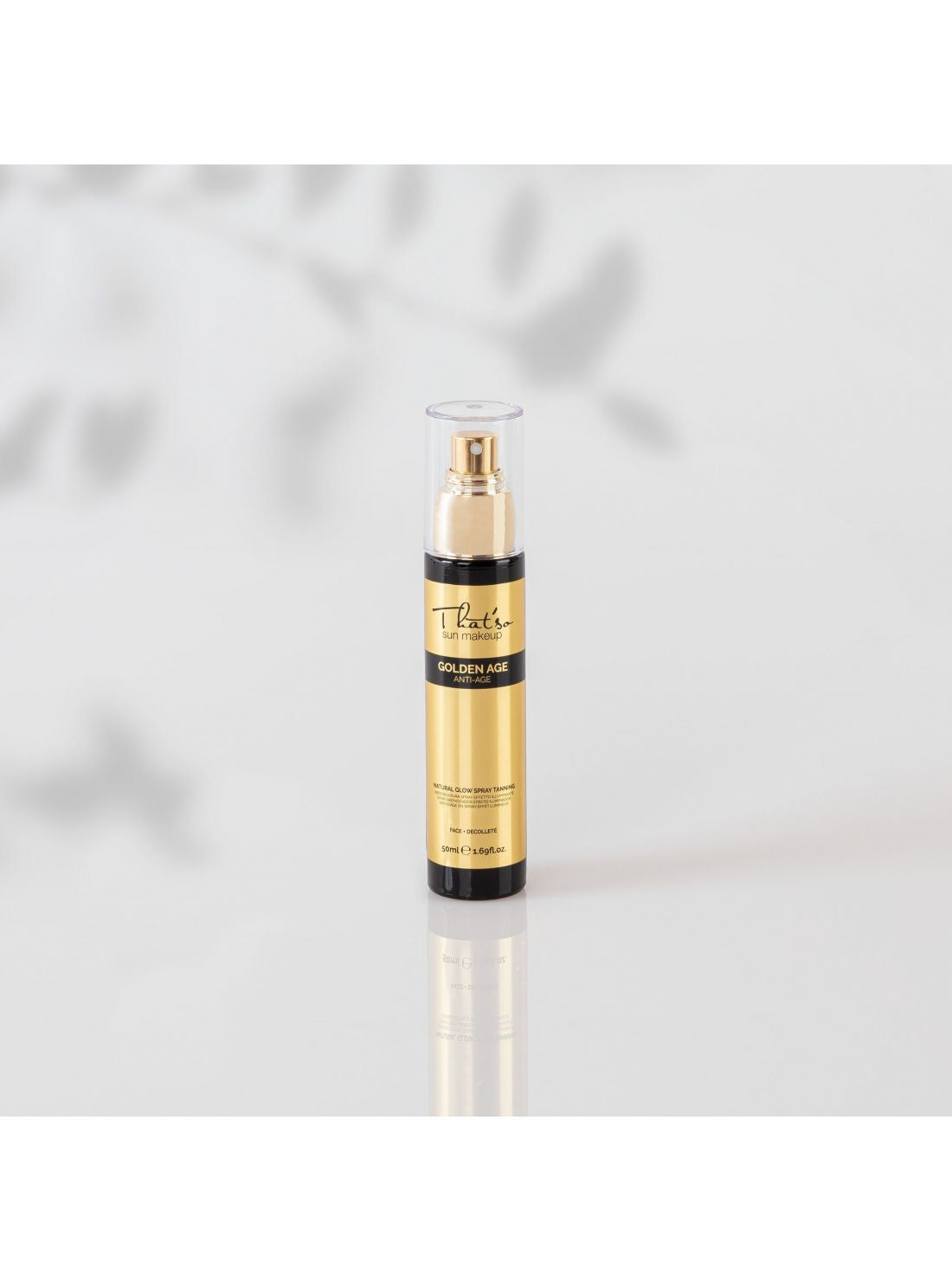 That'so GOLDEN AGE, FACE-UP ir HD KABUKI BRUSH rinkinys