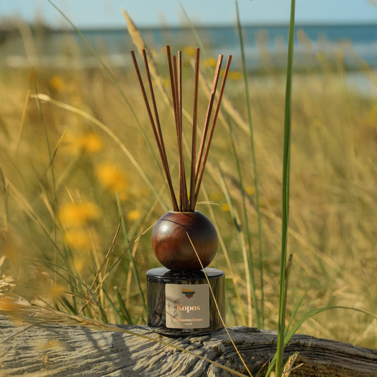Candle Family Namų kvapas su lazdelėmis „Kopos“, 120 ml