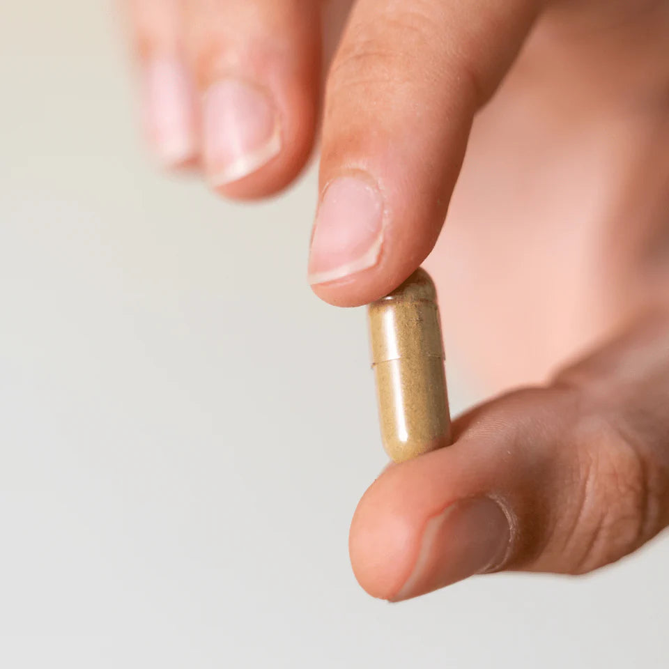 PROVIOTICS - Gerosios bakterijos