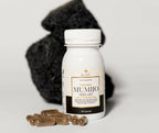 GOLDEN MUMIJO SHILAJIT (90 kapsulių)