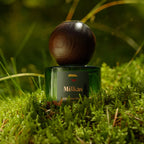 Candle Family Namų kvapas su lazdelėmis „Miškas“, 120 ml