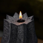 Candle Family Žvakė „KARALIUS ŽYGIMANTAS AUGUSTAS“