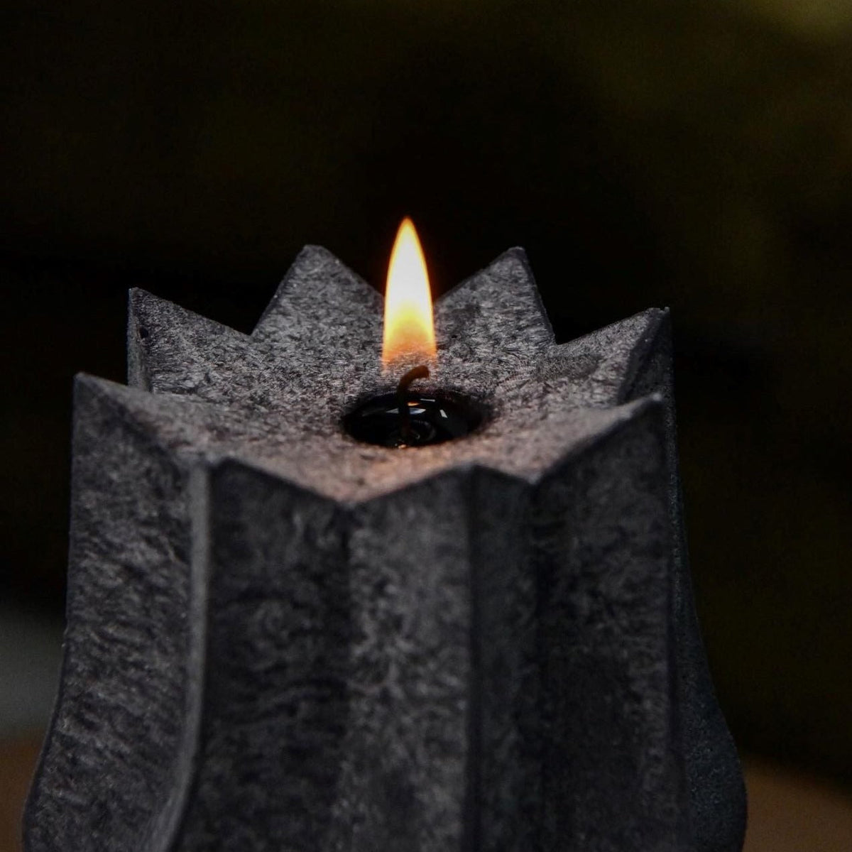 Candle Family Žvakė „KARALIUS ŽYGIMANTAS AUGUSTAS“