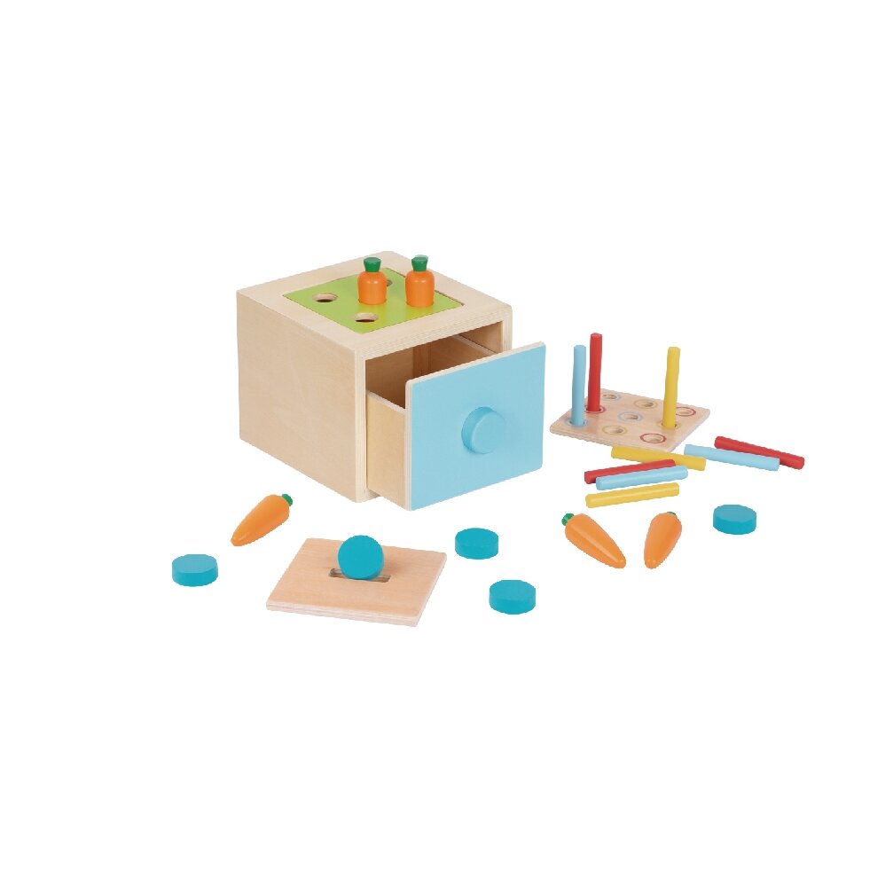 Montessori edukacinis žaislų rinkinys vaikams, 13–18 mėn.